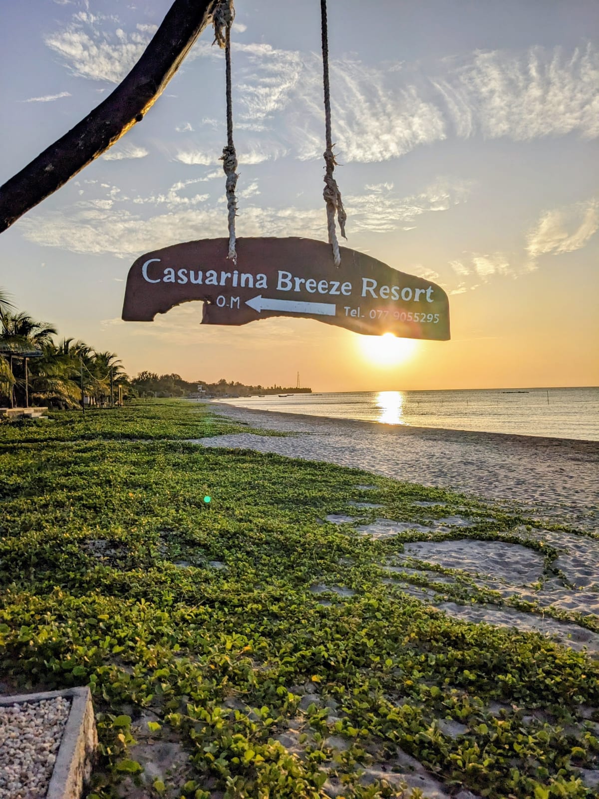 Casuarina Breeze Resort Jaffna Review: A Simple Beachfront Stay in Karainagar